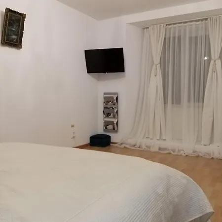 Ultra Central Apartament Брашов